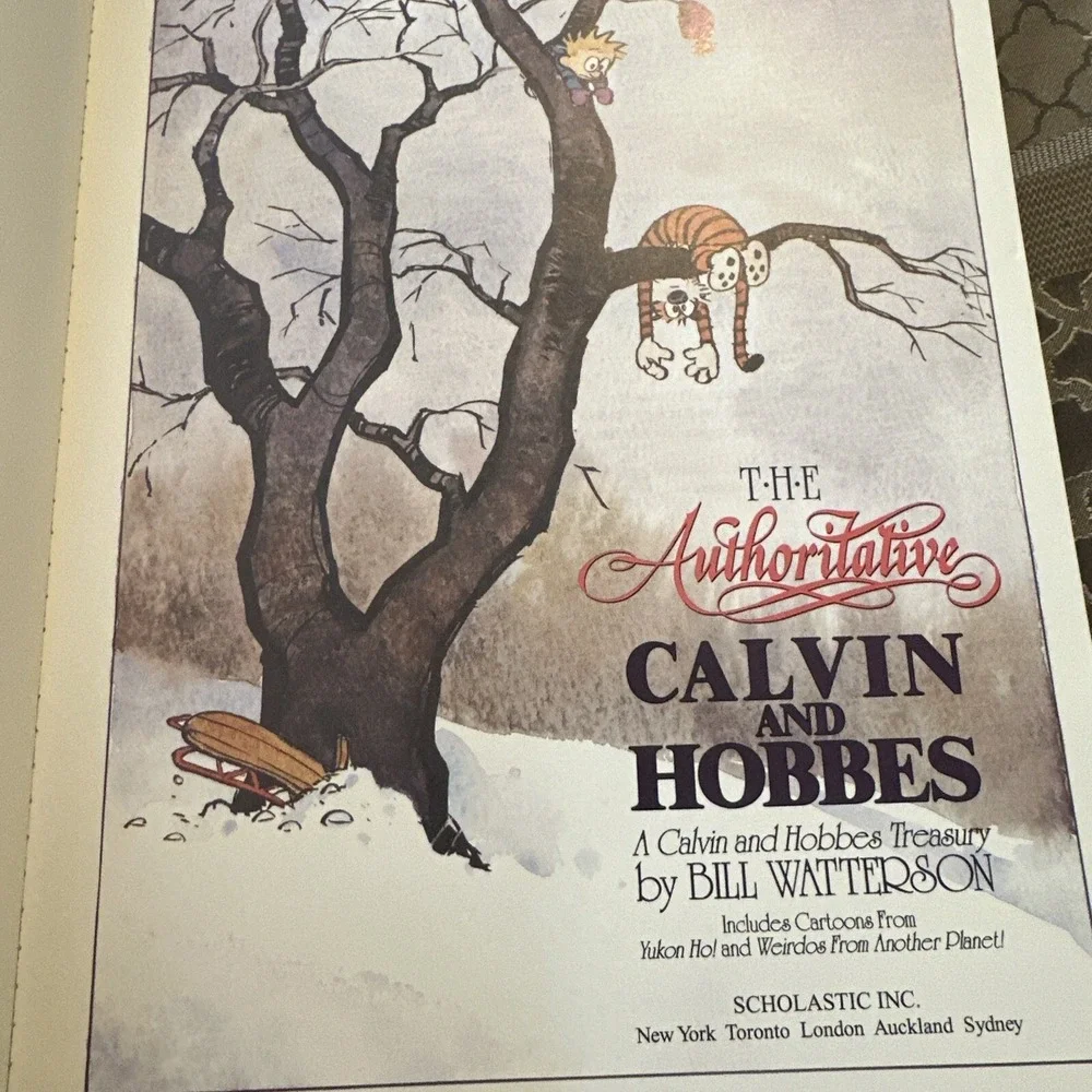 Calvin and Hobbes: A Calvin and Hobbes 2 Children's graphic novel Books